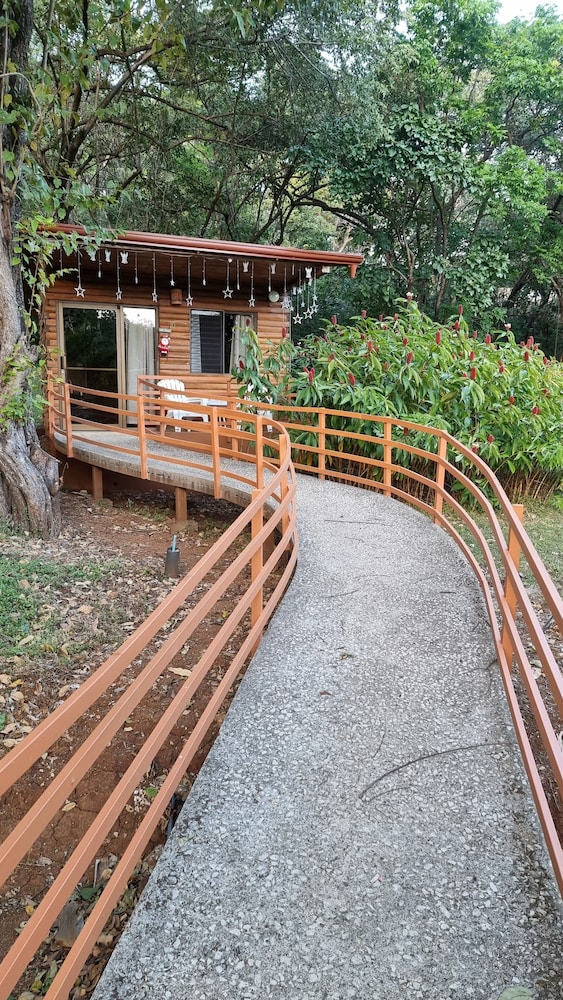 Classic Cabin, 2 Double Beds, Terrace photo 2