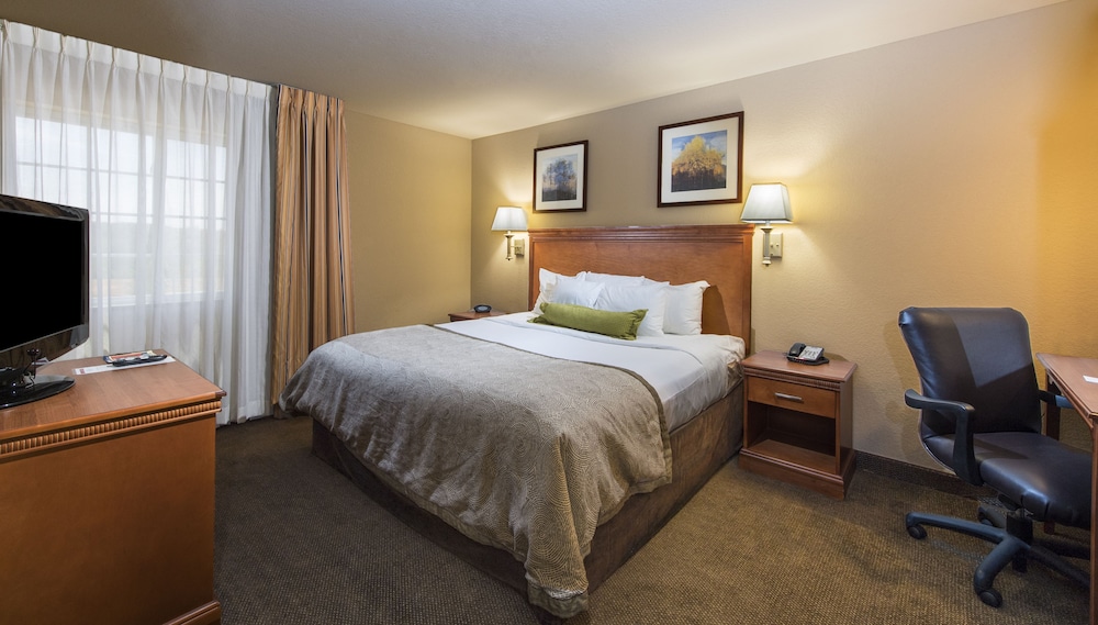 Studio Suite, 1 Queen Bed, Accessible (Mobility, Accessible Tub) - Photo 1