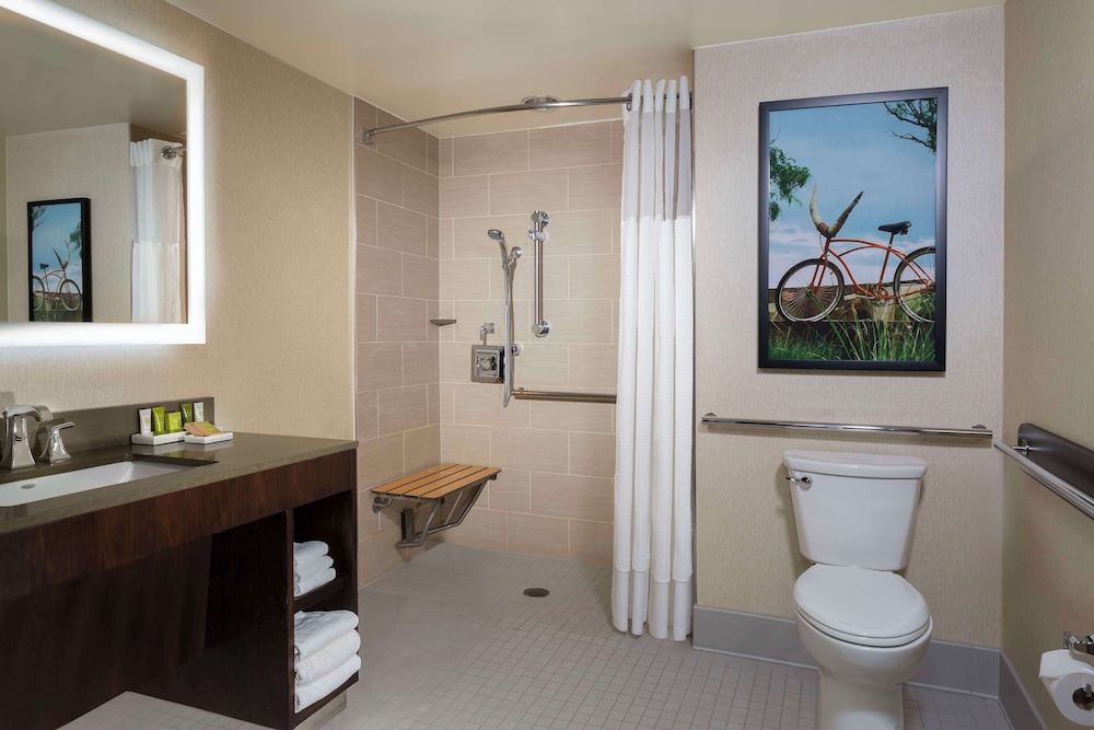 Premium Room, 1 King Bed, Accessible (Mobility, Roll-In Shower) - Photo 5