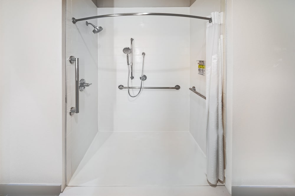Suite, 1 King Bed, Roll-in Shower (Roll-In Shower) - Photo 4