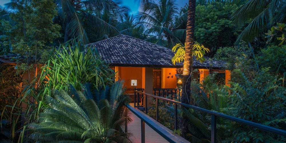 Luxury Bungalow photo 3