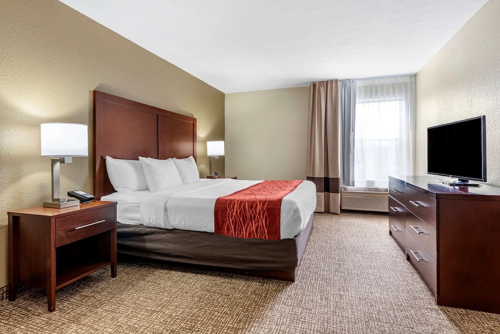 Basic Single Room, 1 King Bed, Non Smoking - Photo 3