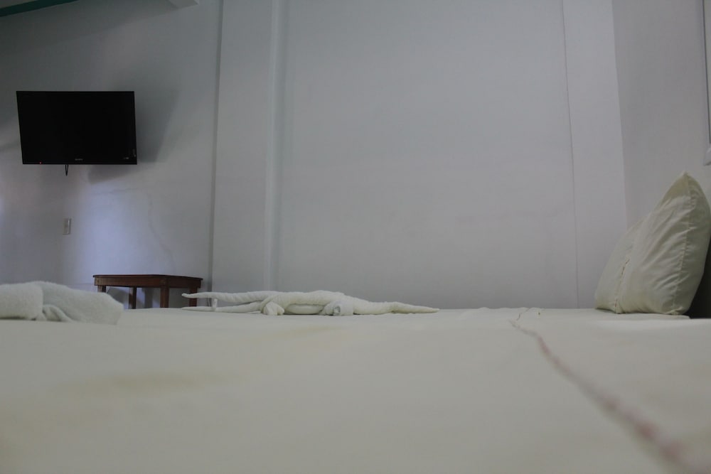 Basic Twin Room - Photo 7