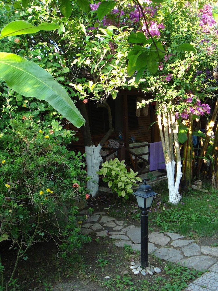 Single Bungalow photo 2