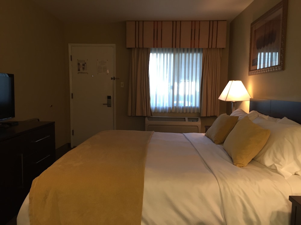Standard Room, 1 King Bed