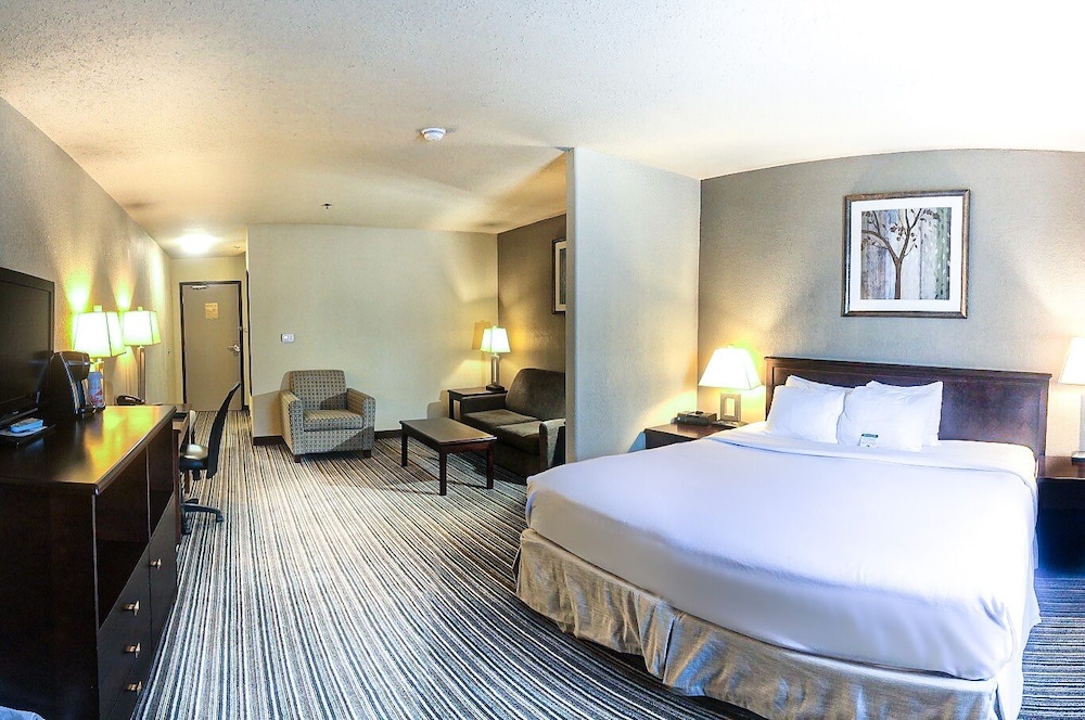 Suite, 1 King Bed with Sofa bed, Non Smoking photo 2