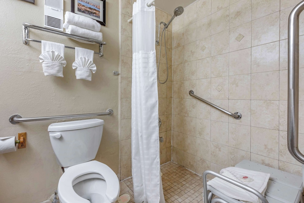 Standard Room, 1 King Bed with Sofa bed, Accessible, Non Smoking (Roll-In Shower) photo 2
