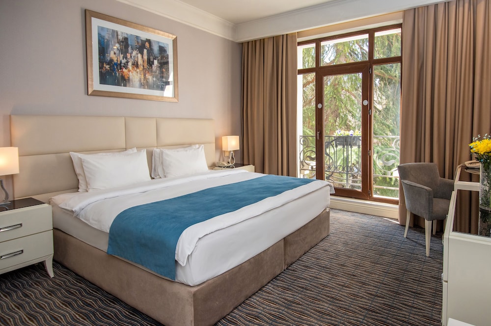 Deluxe Double Room photo 2