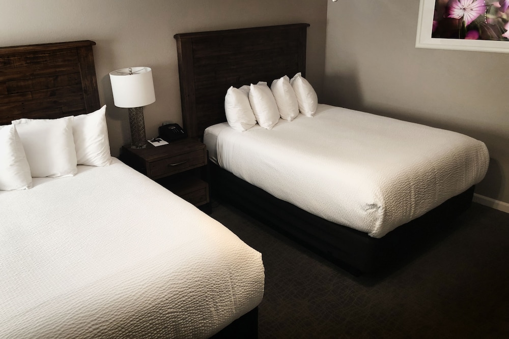 Standard Room, 2 Queen Beds photo 1