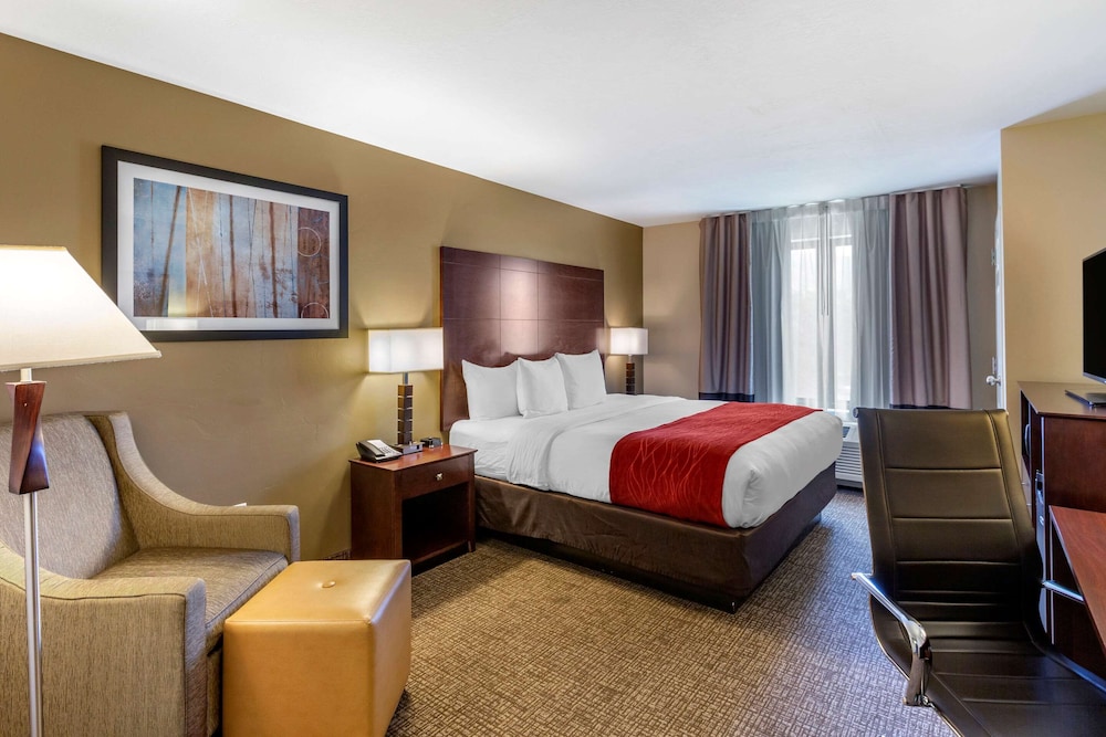 Room, 1 King Bed, Accessible, Non Smoking (Pet Friendly) - Photo 3