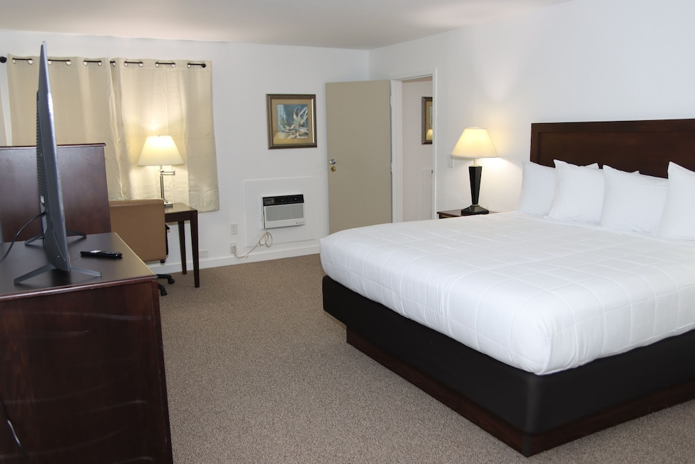 Luxury Suite, 1 King Bed with Sofa bed, Kitchenette photo 1
