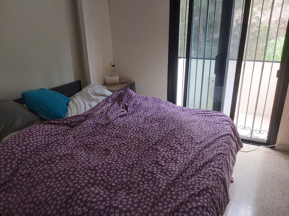 Traditional Apartment photo 1