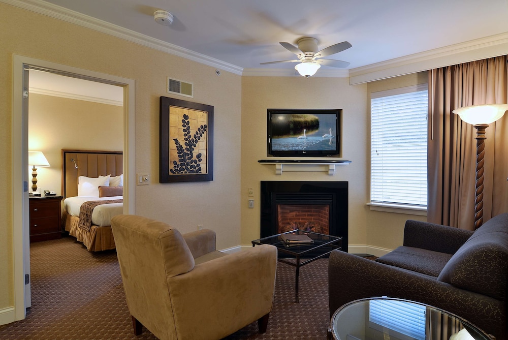 Suite, 1 King Bed, Non Smoking, Kitchen (Living Room;with Sofabed) - Photo 3
