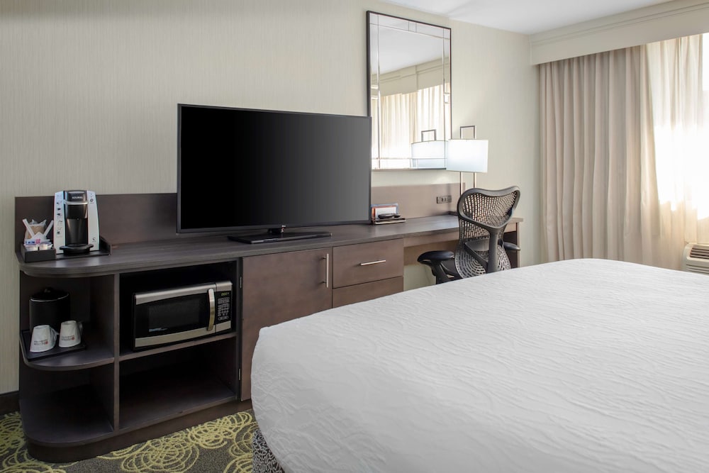 Suite, 1 Bedroom, Non Smoking photo 3