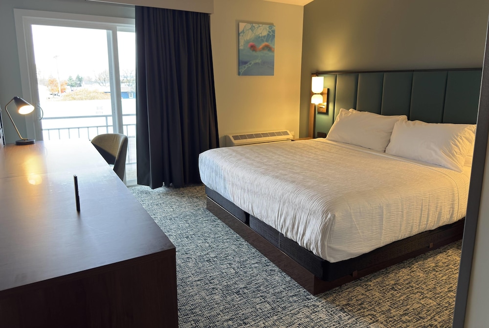 Room, 1 King Bed, Non Smoking