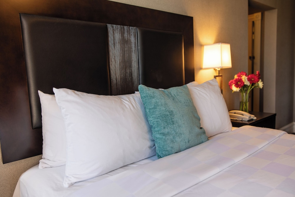 Traditional Suite, 1 Queen Bed - Photo 1
