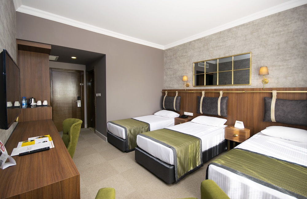 Standard Triple Room - Photo 11