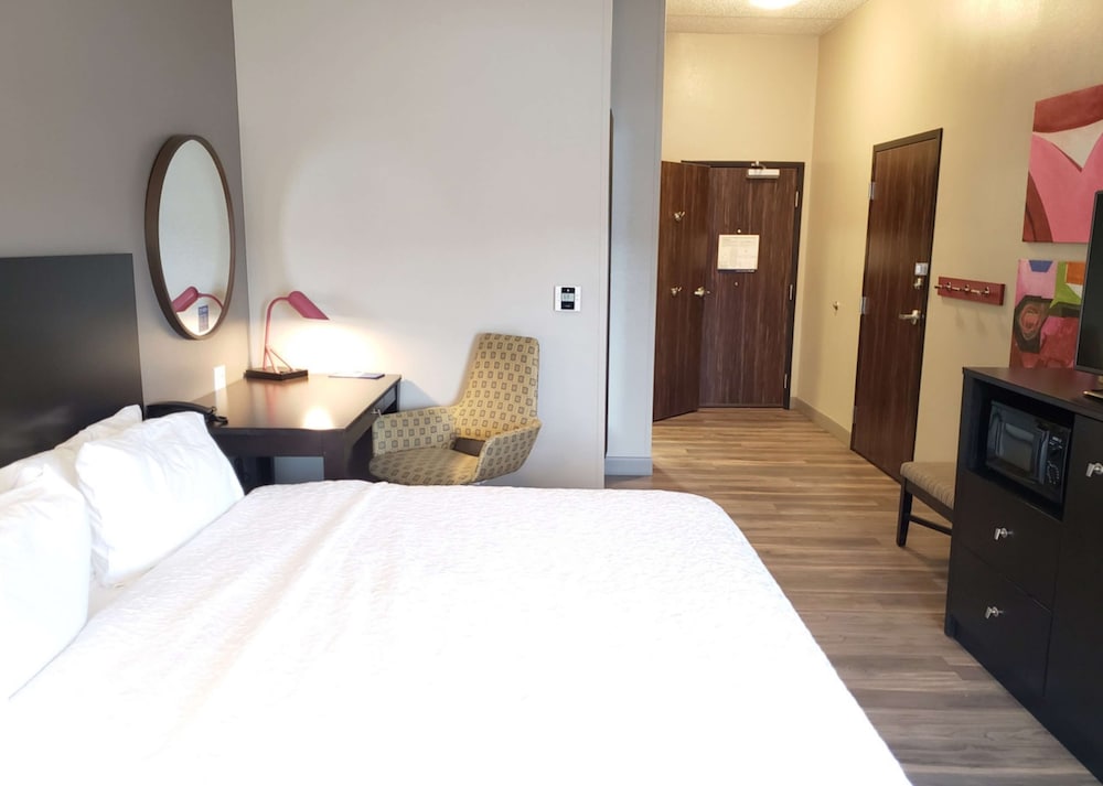 Room, 1 King Bed, Non Smoking