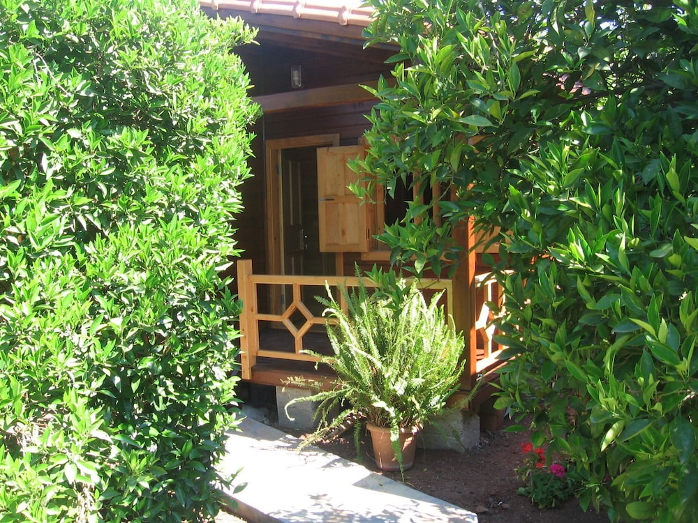 Family Bungalow photo 3
