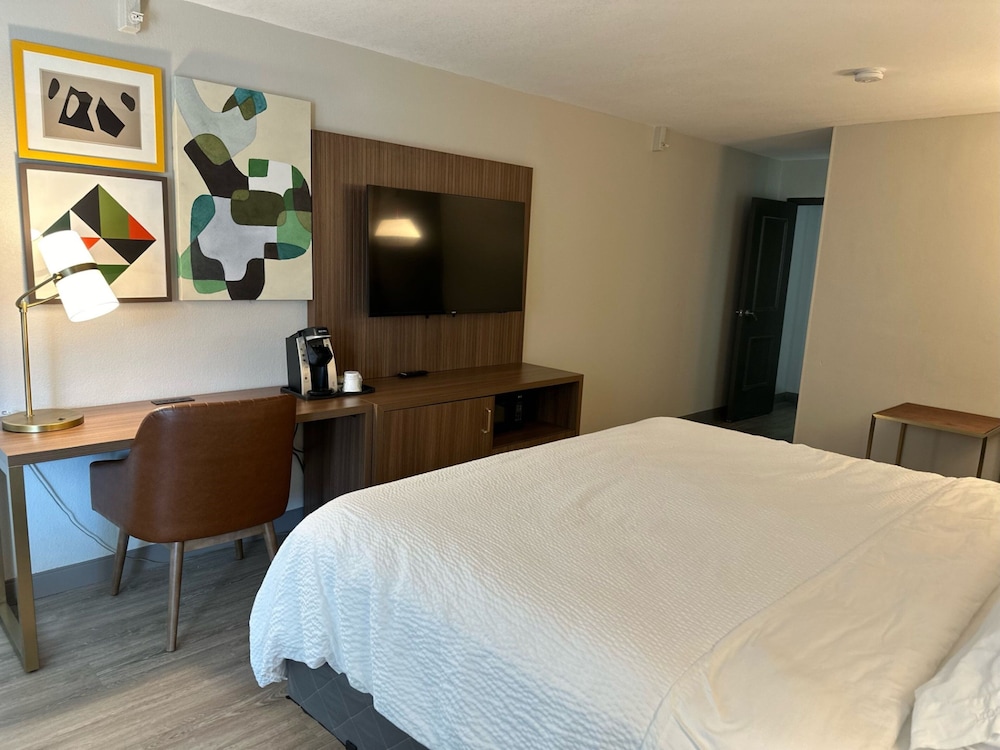 Standard Room, 1 King Bed, Mobility Accessible (Accessible Shower) - Photo 4