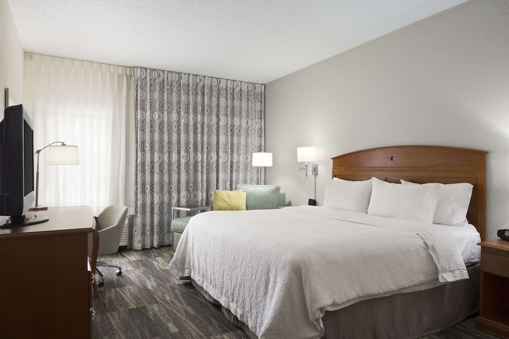 Room, 1 King Bed, Accessible, Non Smoking - Photo 3