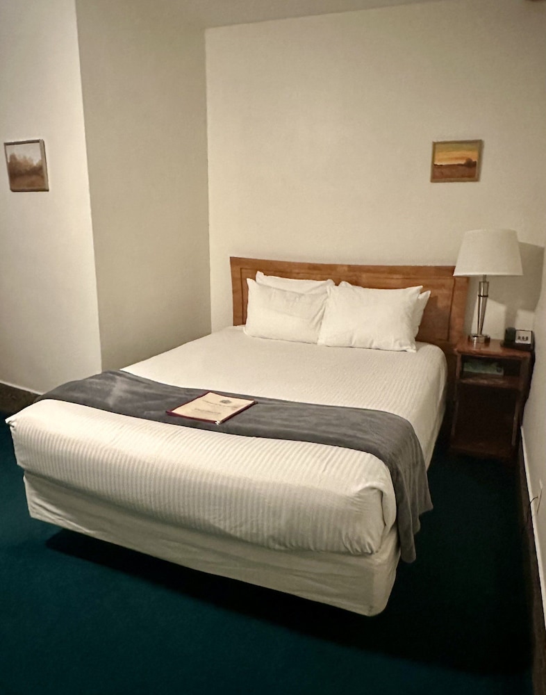 PET FRIENDLY-Economy Double Room, Ensuite (Interior Queen) photo 3