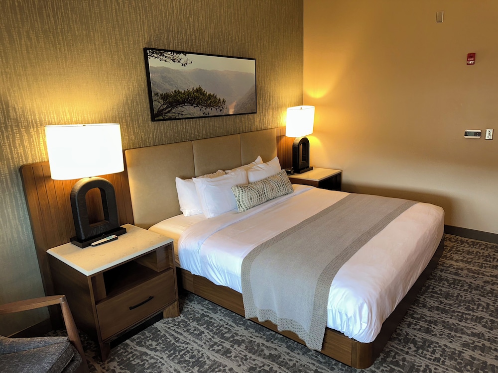 Deluxe Room, 1 King Bed photo 2