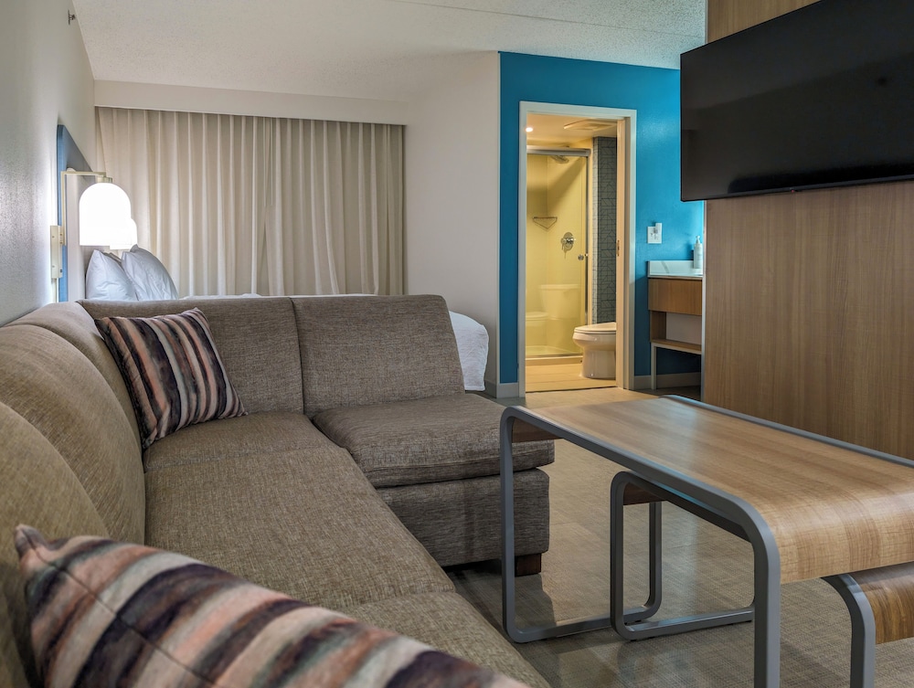 Studio Suite, 1 King Bed, Accessible, Bathtub - Photo 12