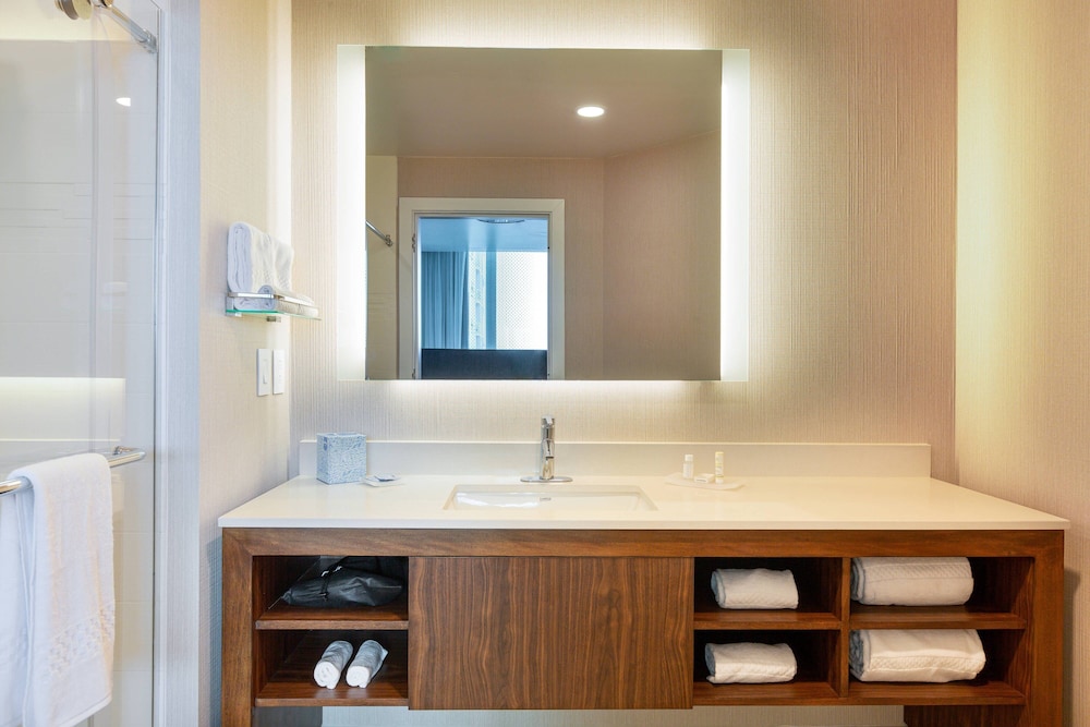 Suite, 1 Bedroom - Photo 7
