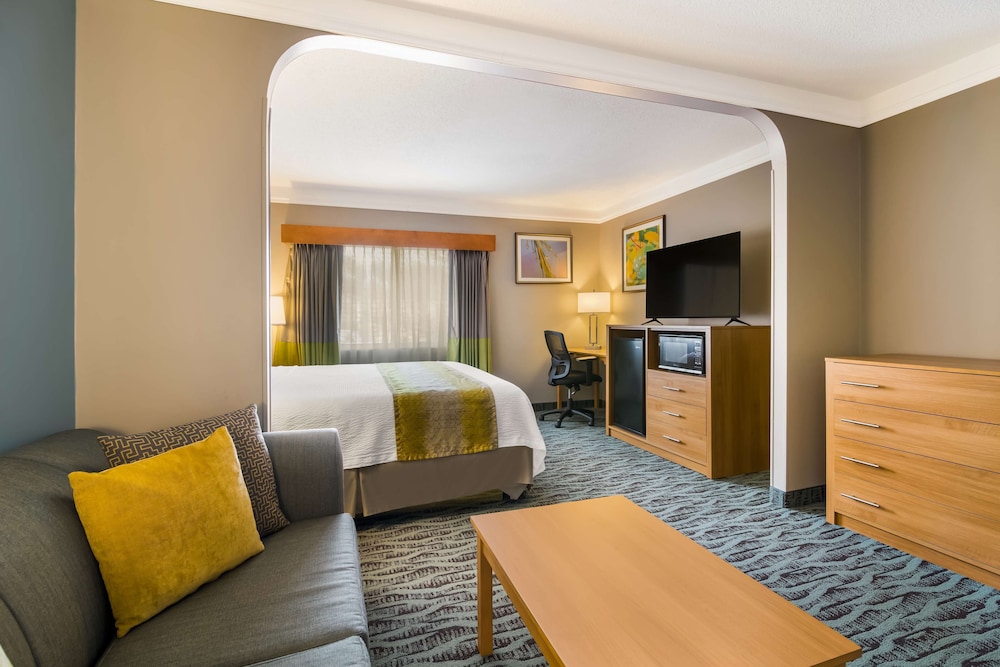 Standard Room, 1 King Bed, Non Smoking, Refrigerator & Microwave - Photo 3