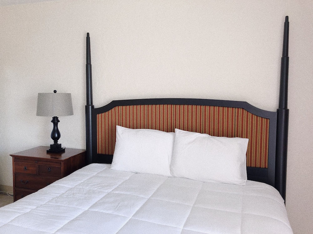 Studio, 1 King Bed, Bay View photo 2