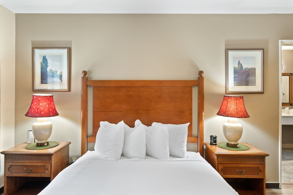 Deluxe Single Room, 1 Queen Bed, Kitchenette photo 2