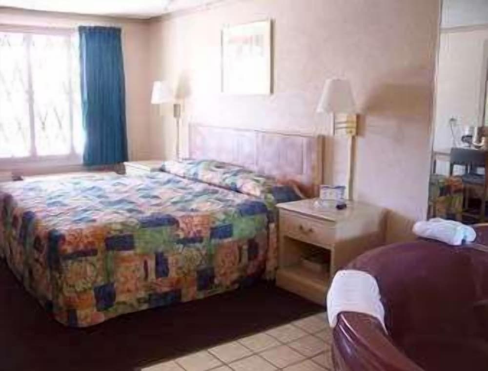 Room, 1 King Bed, Accessible photo 1
