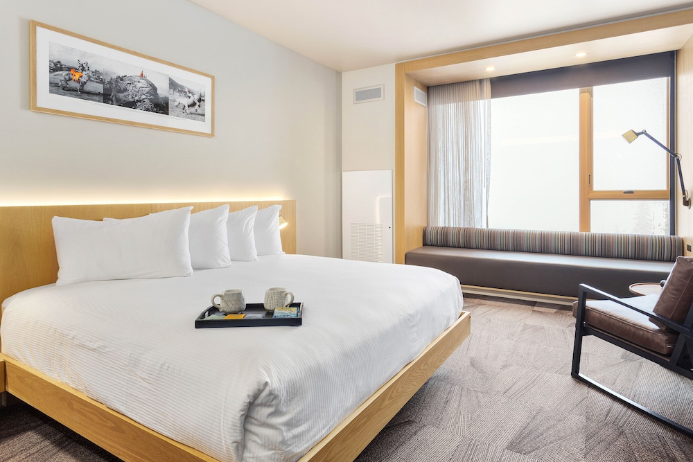 Room, 1 King Bed