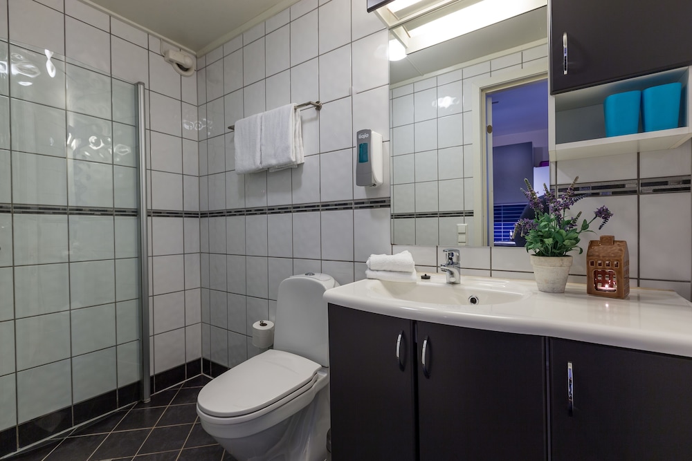 Studio (Apartment) - Photo 4