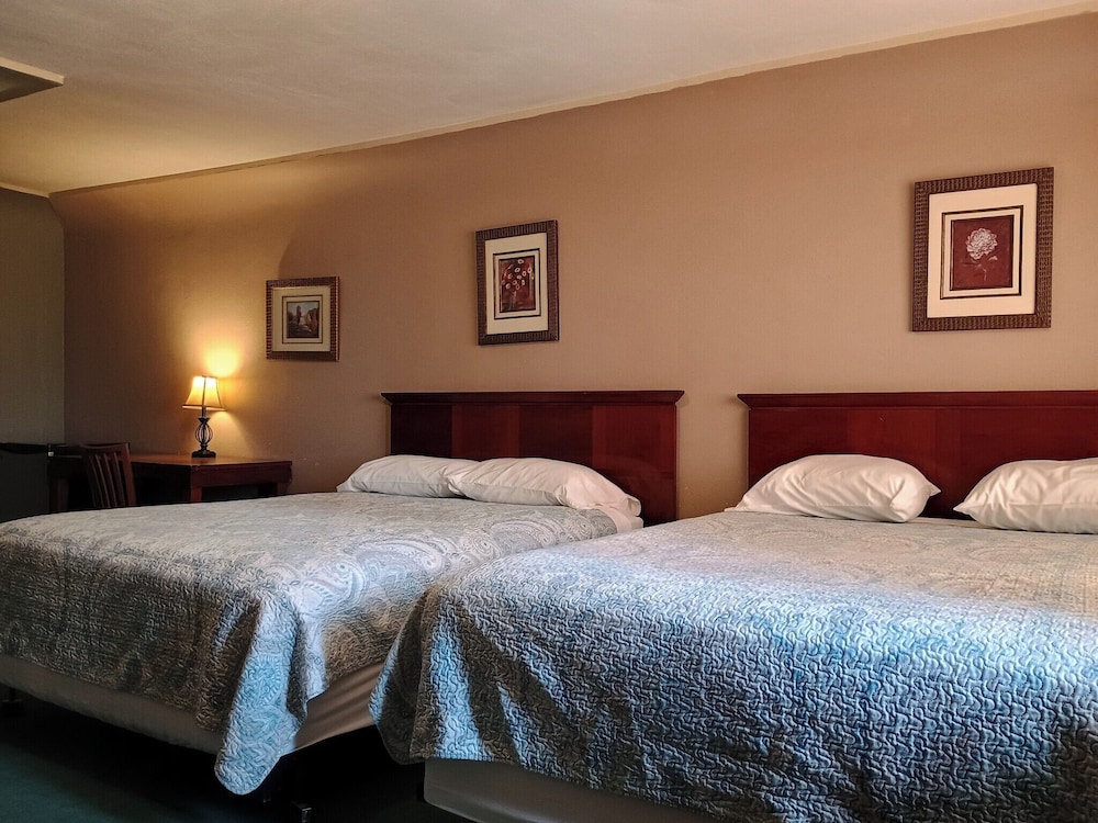 Basic Single Room photo 1