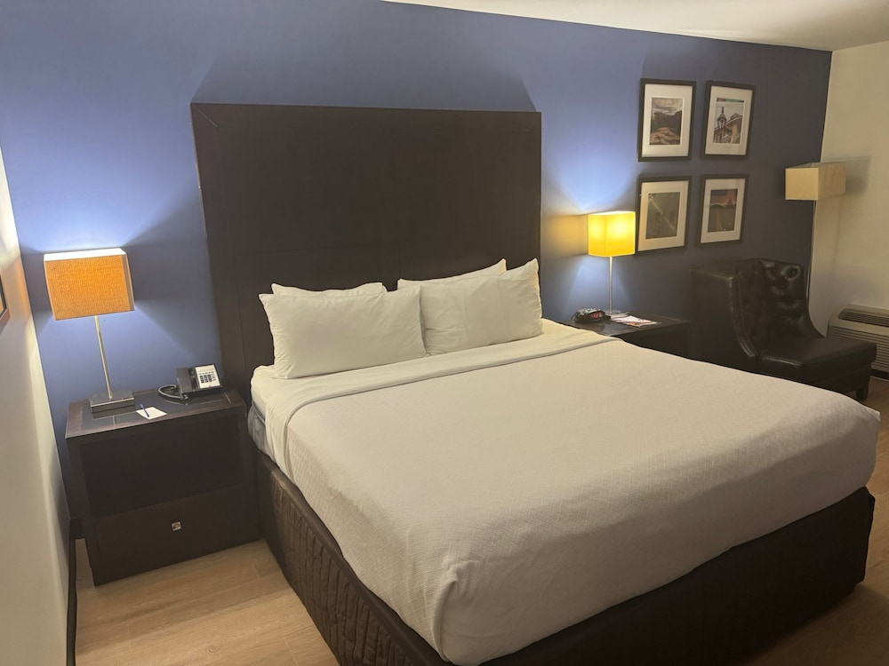 Room, 1 King Bed, Non Smoking photo 1