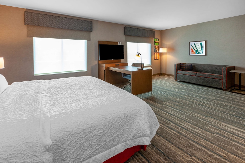 Suite, 1 King Bed, Accessible (Roll-In Shower) photo 1