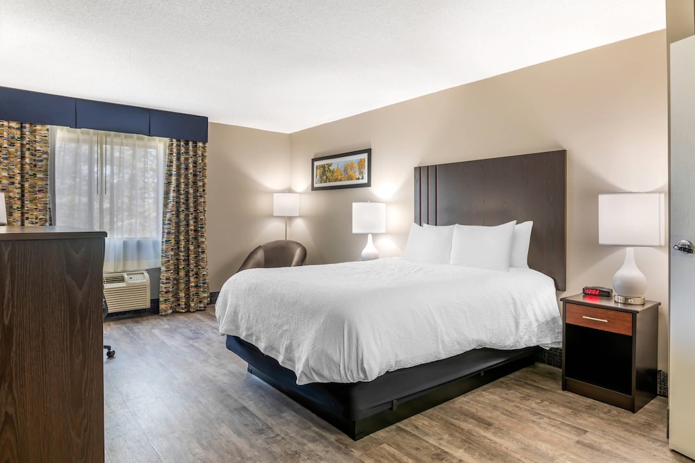 Standard Room, 1 King Bed, Non Smoking - Photo 2