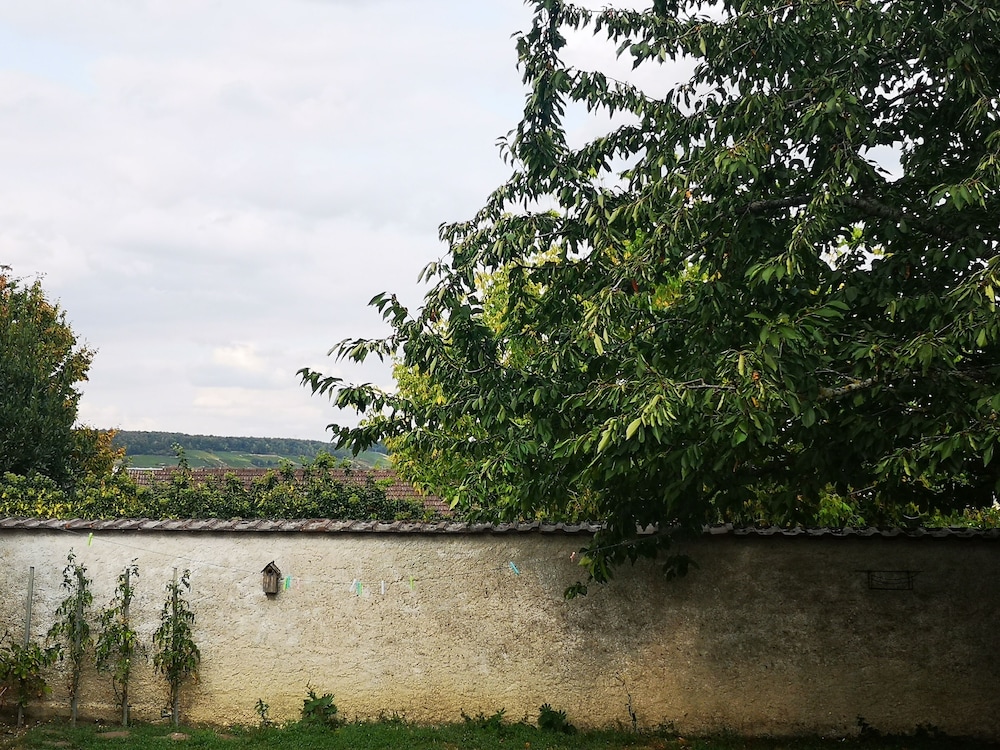 Comfort Cottage, Ensuite, Garden View - Photo 4