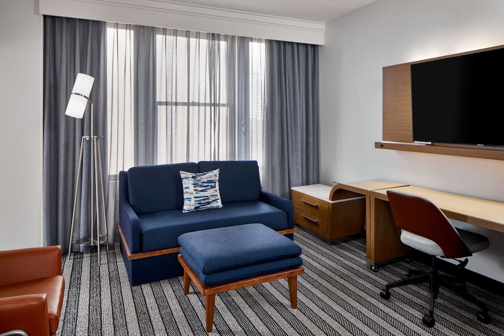 Suite, 1 King Bed with Sofa bed