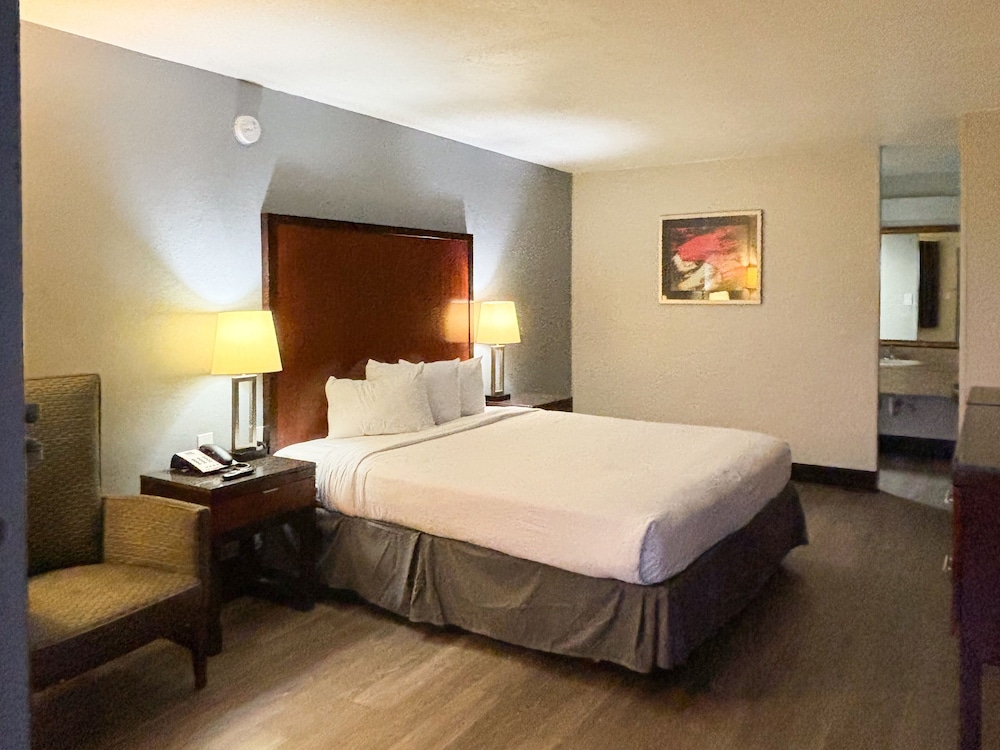 Deluxe Room, 1 King Bed, Smoking, Refrigerator & Microwave - Photo 3
