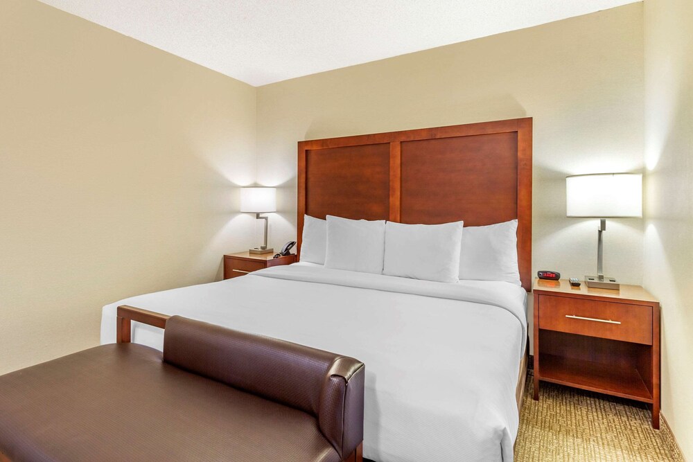 Deluxe Suite, 1 King Bed, Non Smoking - Photo 1