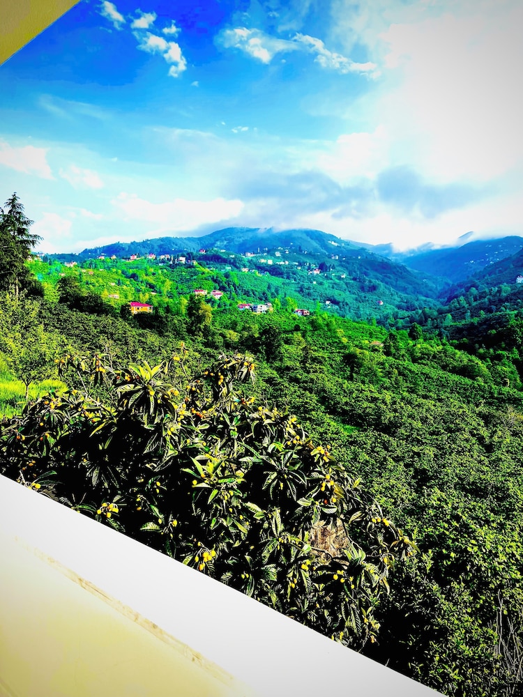 Grand Apartment, Mountain View photo 3