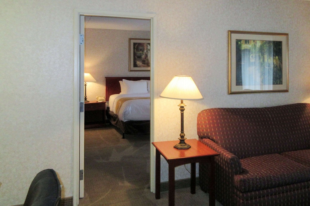 Suite, 1 King Bed, Non Smoking - Photo 1