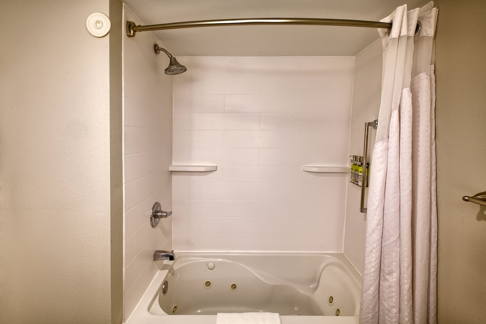 Suite, 1 King Bed, Accessible (Access Tub) - Photo 4