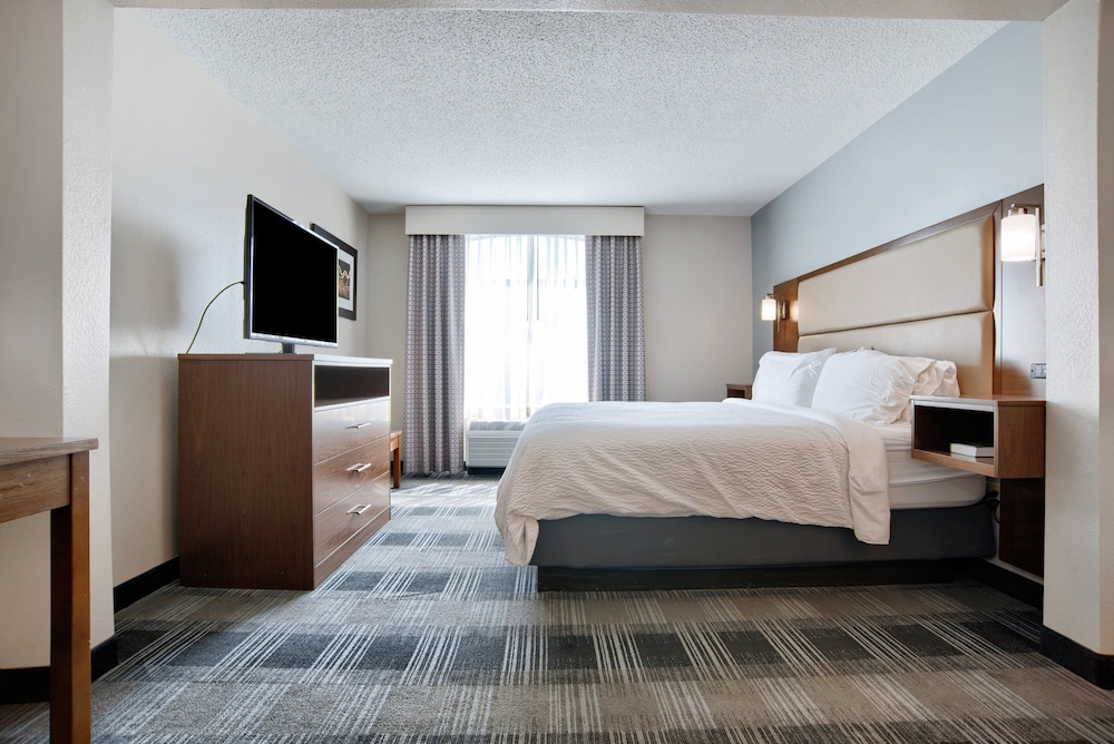 Suite, 1 King Bed - Photo 1