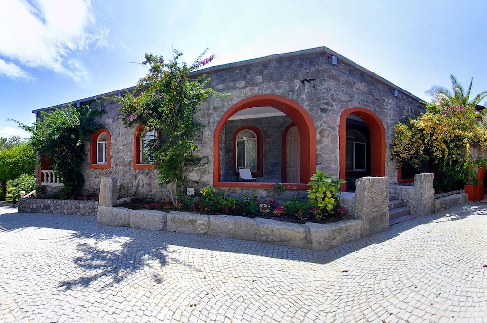Palmiye Oda photo 3