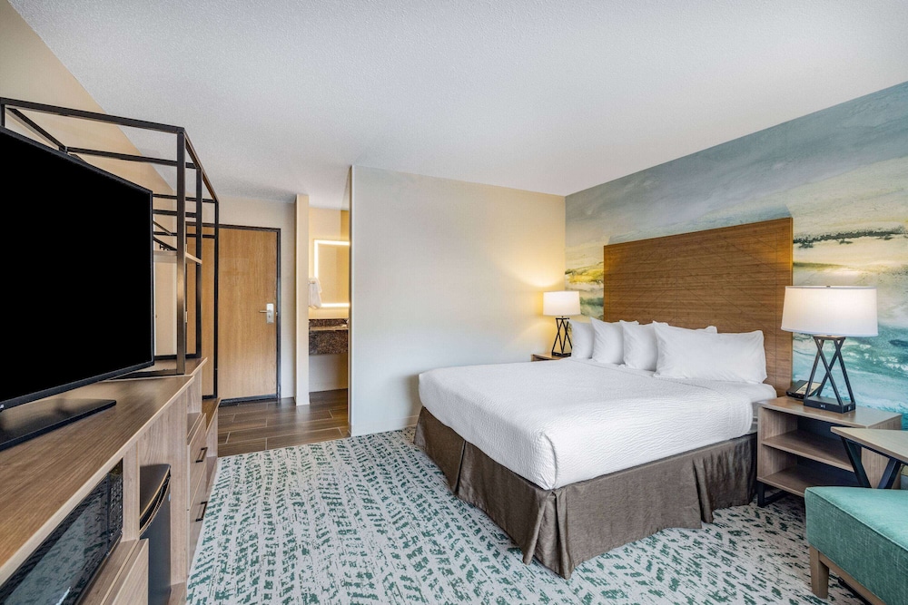 Room, 1 Queen Bed, Accessible, Non Smoking (Roll-In Shower) photo 1