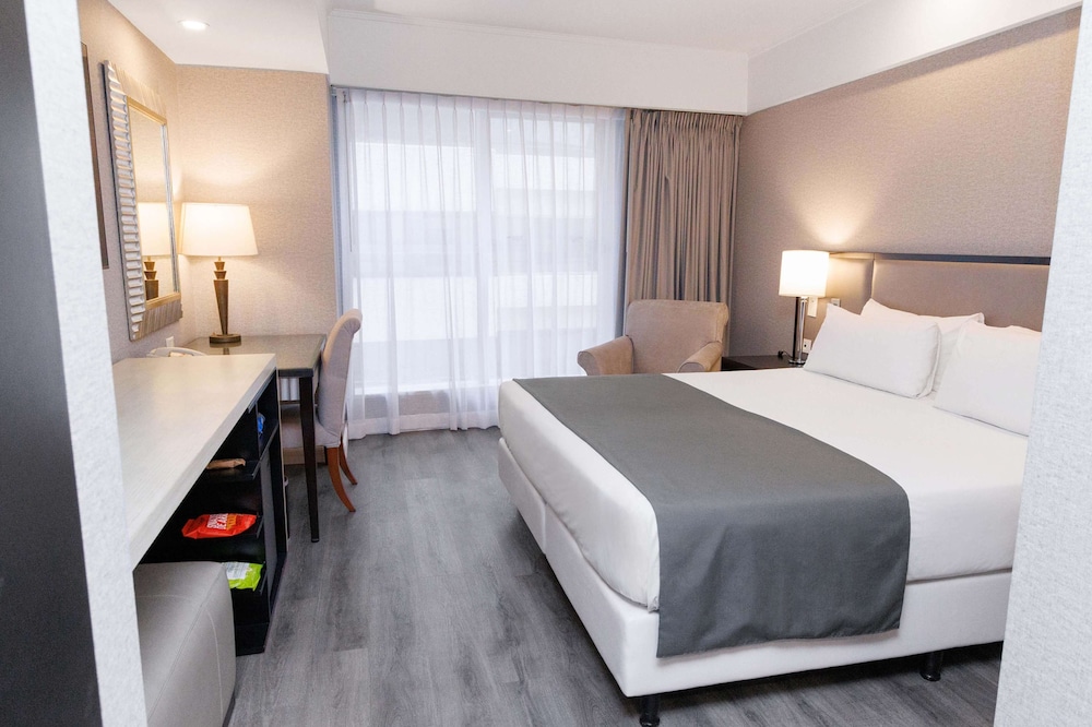 Room, 1 King Bed (33 Square Meter)
